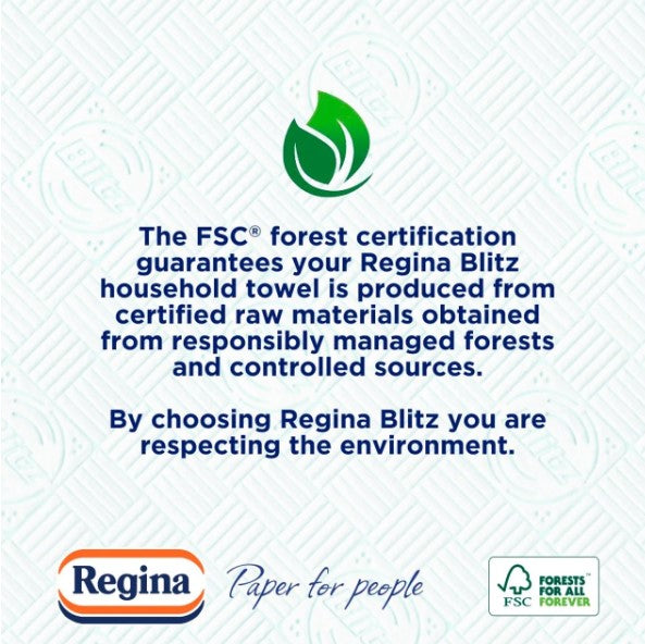 Regina Blitz Household Towels 3-Ply Twin-Pack 70 Sheets Per Roll Kitchen Towel Tissue Cleaning Paper Towel